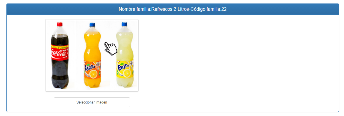 gestorimagenes4.png